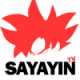 SayayinTV